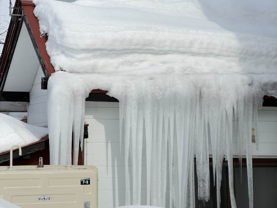 つらら　すがもれ