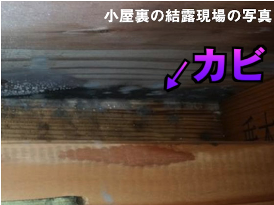 小屋裏結露のリスク