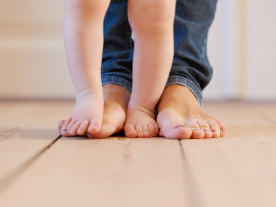 暖かい家　涼しい家